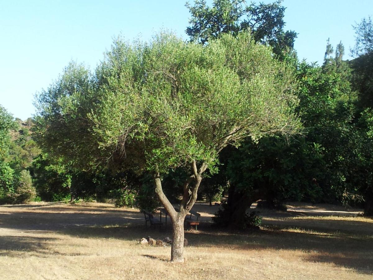 La Casa Di Sara Villa Pula Buitenkant foto